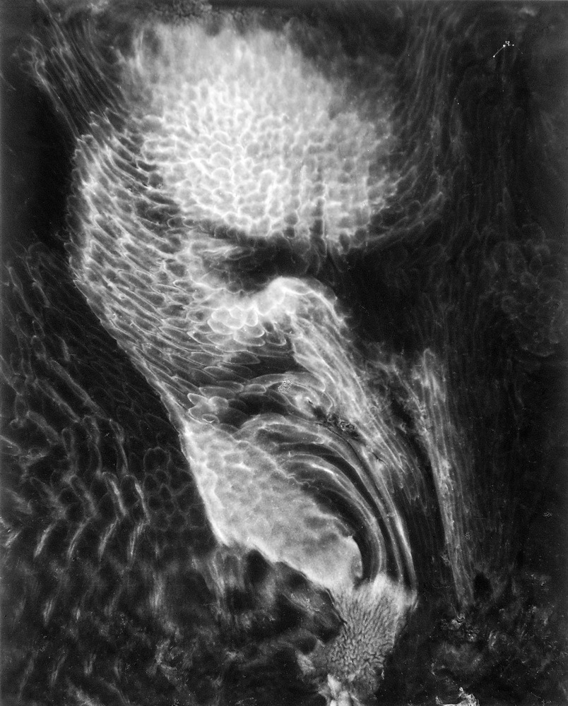 Zdzisław Beksiński