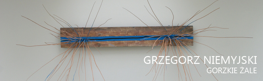Grzegorz Niemyjski