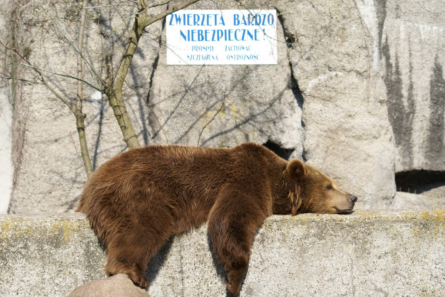 Hałasa Piotr