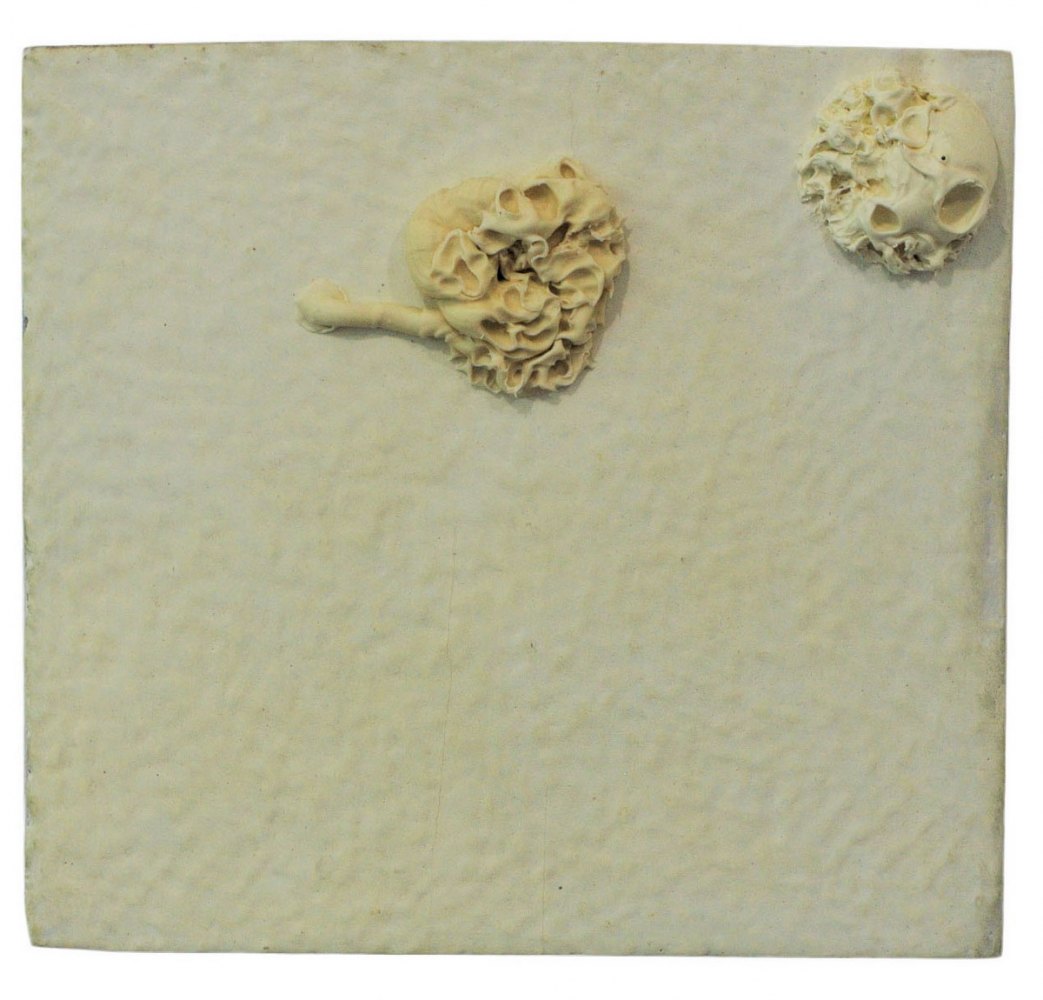 Grzyb5, olej na desce, 2018, 22 x 22 cm_resize