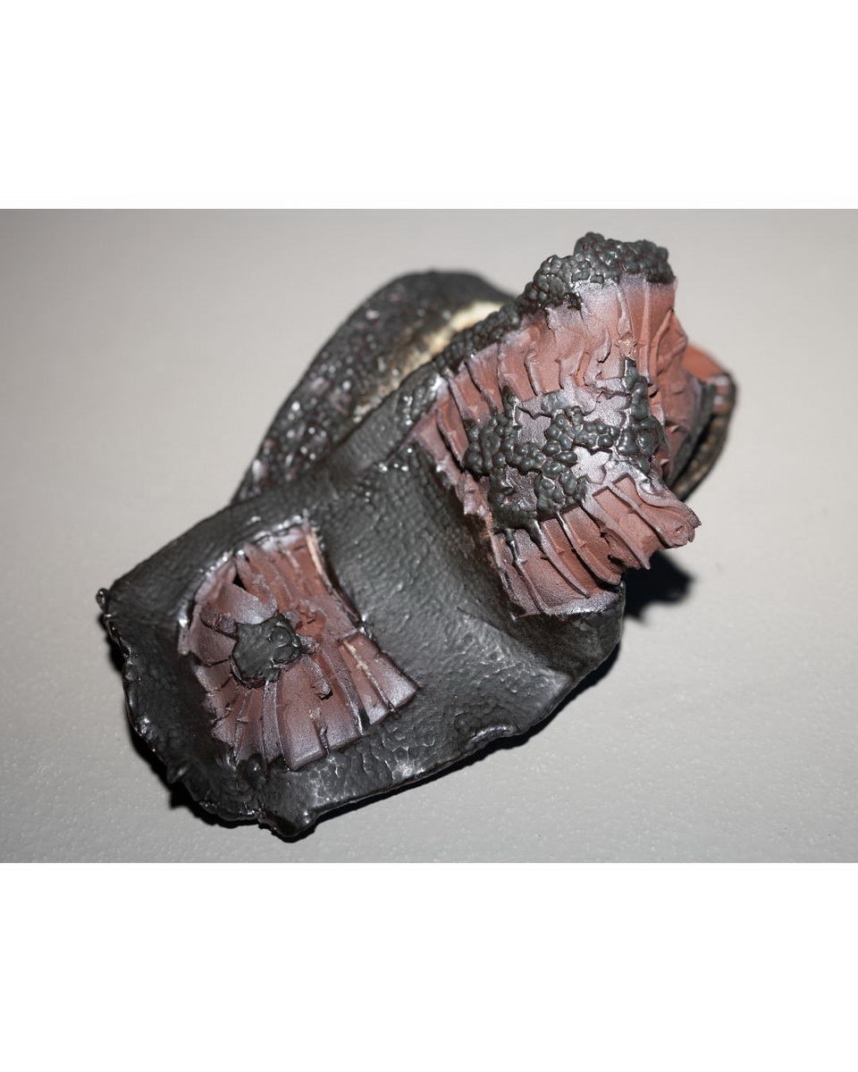 Untitled design - 5